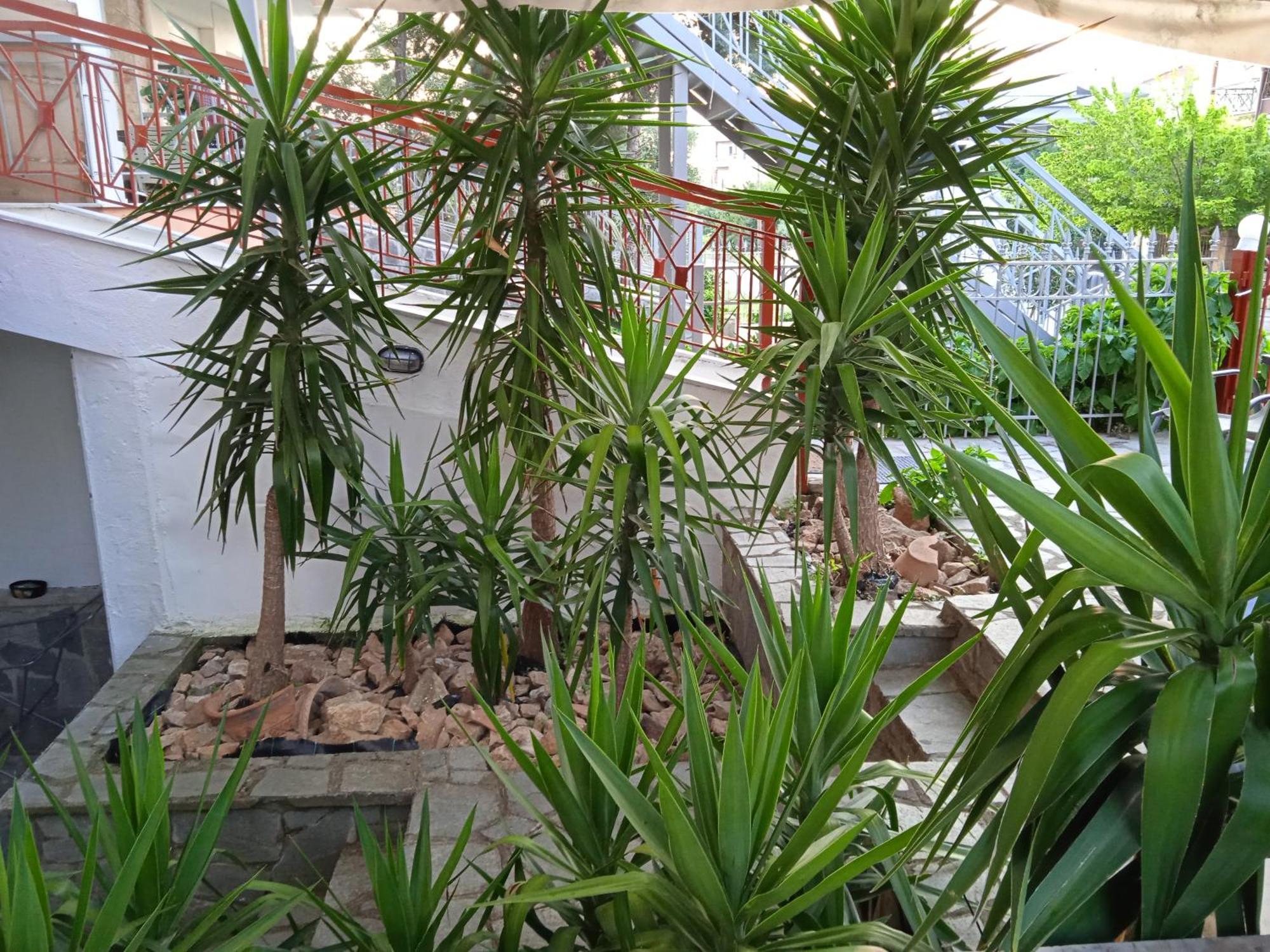 ניאה מיכאניונה Blue Moon Apartments חדר תמונה
